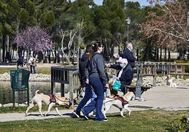 La Comunidad de Madrid advierte sobre el peligro de las picaduras de garrapatas que proliferan con la llegada del calor