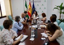 Andalucía pagará un 4,5% más por las plazas en residencias y centros de día y sube un 3% la ayuda a domicilio