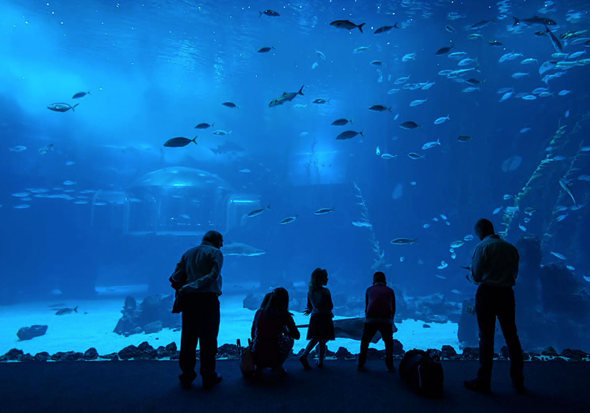Visitantes en el acuario Poema del Mar en Gran Canaria