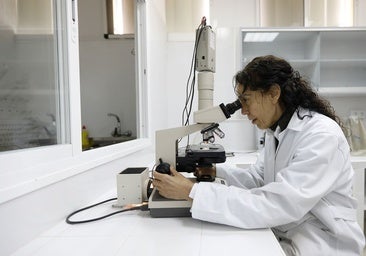 La Universidad de Córdoba, a la cabeza de Andalucía en indicadores de investigación