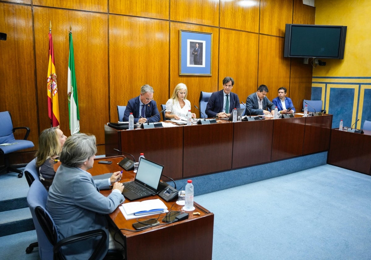 Comparecencia de la consejera de Cultura y Deporte en la Comisión de Cultura y Deporte del Parlamento de Andalucía