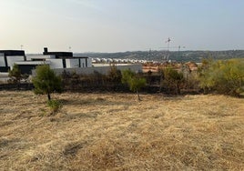 El Ayuntamiento de Toledo prioriza el desbroce de la zona afectada por el incendio de la Legua