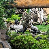 Los Bioparc se suman a la campaña contra la contaminación por plásticos en la efeméride ambiental de la ONU