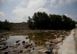 La Junta de Andalucía culmina en Almería la restauración del cauce del río Antas para proteger el campo de las riadas