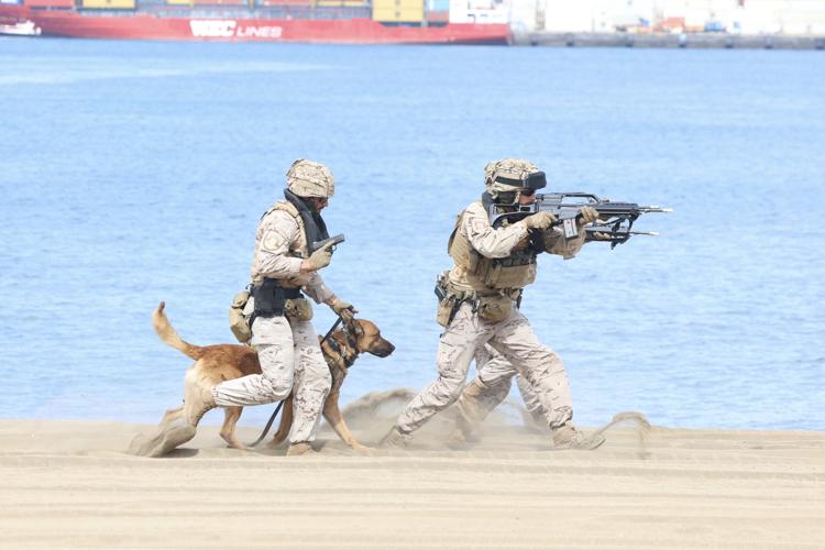 Exhibición dinámica en la Playa de las Alcaravaneras (Las Palmas de Gran Canaria) con motivo del «Día de las Fuerzas Armadas 2025»