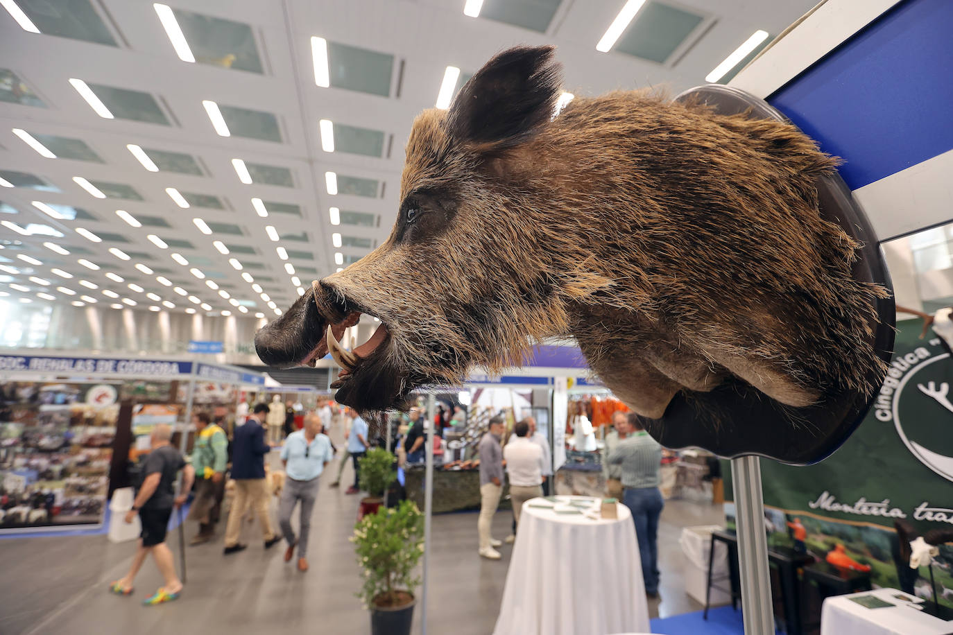 La inauguración de Intercaza en Córdoba, en imágenes
