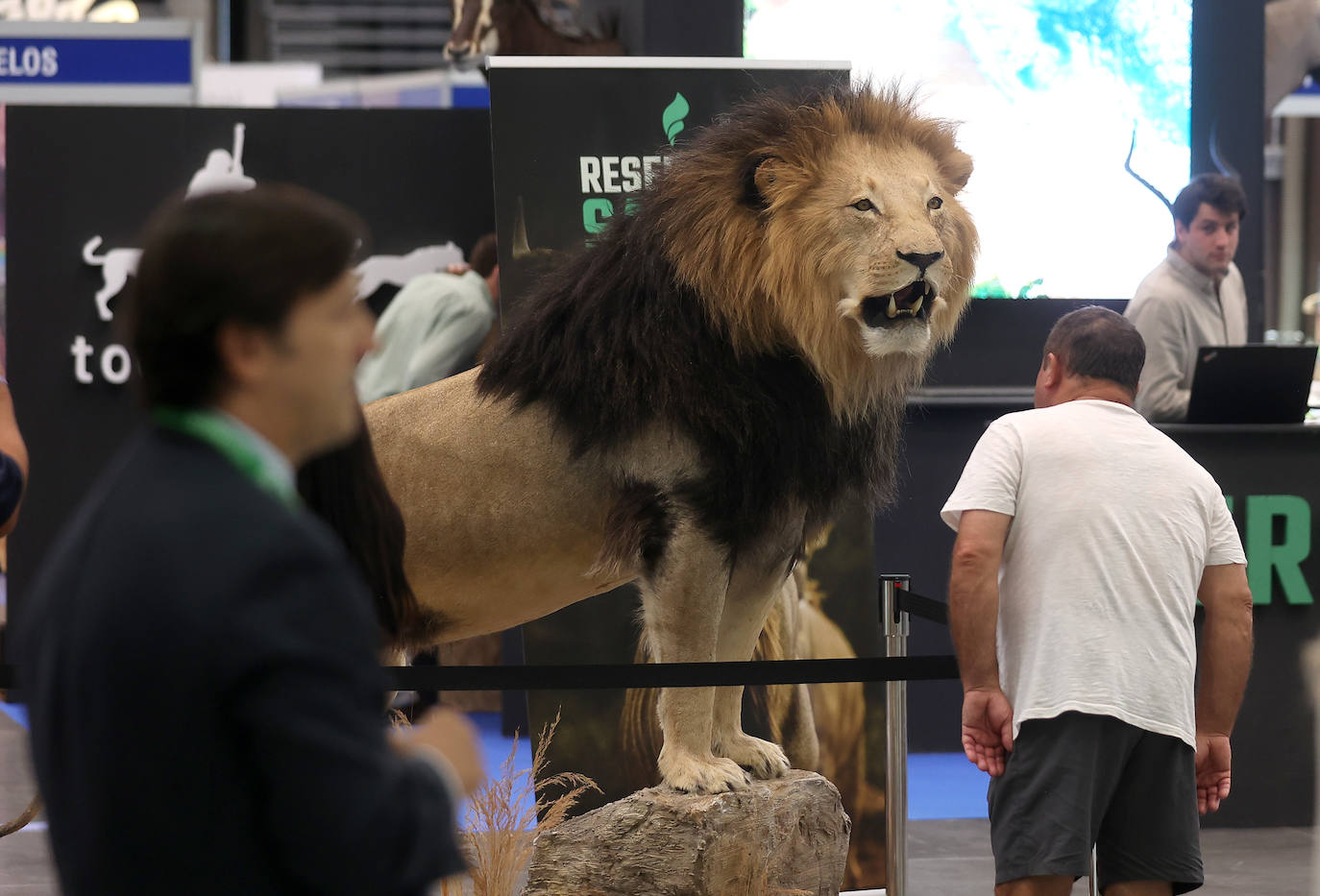 La inauguración de Intercaza en Córdoba, en imágenes