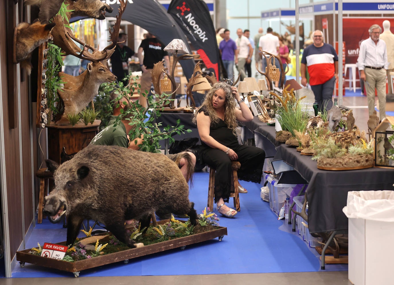 La inauguración de Intercaza en Córdoba, en imágenes