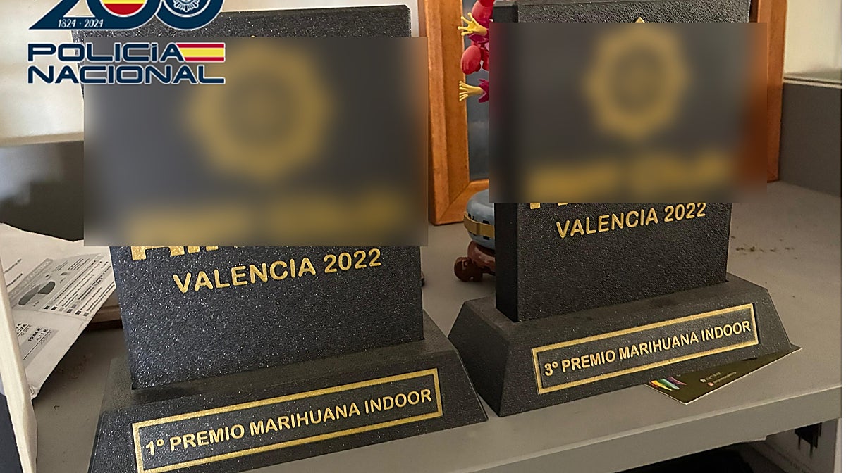 Premios que recibieron por cultivar marihuana los detenidos por una plantación de cannabis en Náquera, Valencia