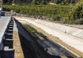 Un estudio evalúa cuántos árboles habrá que talar por los recortes del trasvase Tajo-Segura