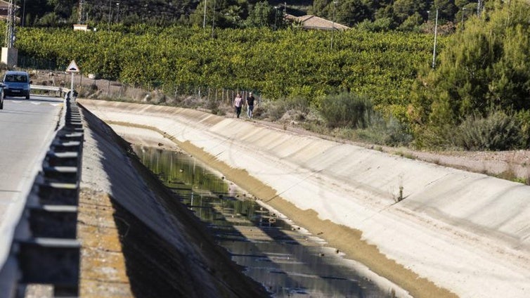 Un estudio evalúa cuántos árboles habrá que talar por los recortes del trasvase Tajo-Segura
