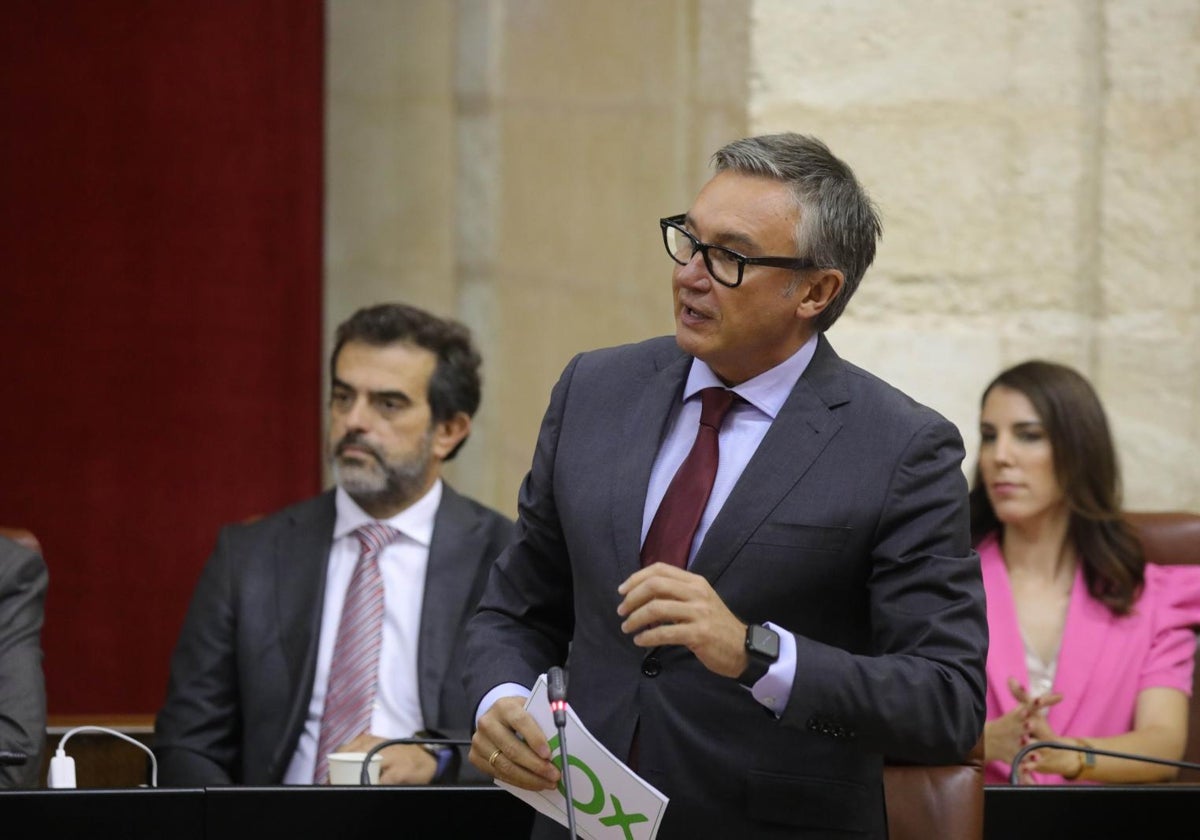 Manuel Gavira, portavoz de Vox, en el Parlamento andaluz