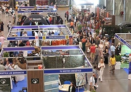 La Diputación de Córdoba se plantea trasladar de nuevo Intercaza a septiembre