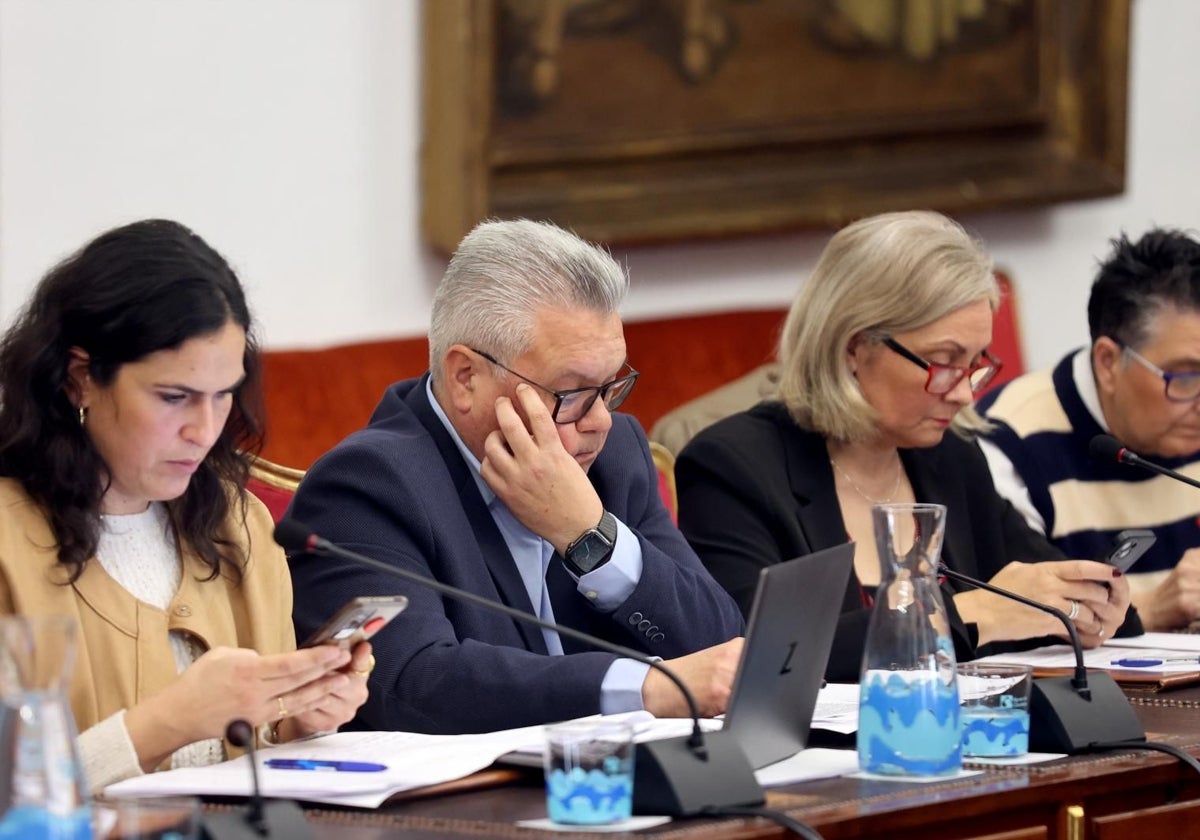 La diputada socialista Desirée Benavides junto a Esteban Morales en un Pleno de la Diputación