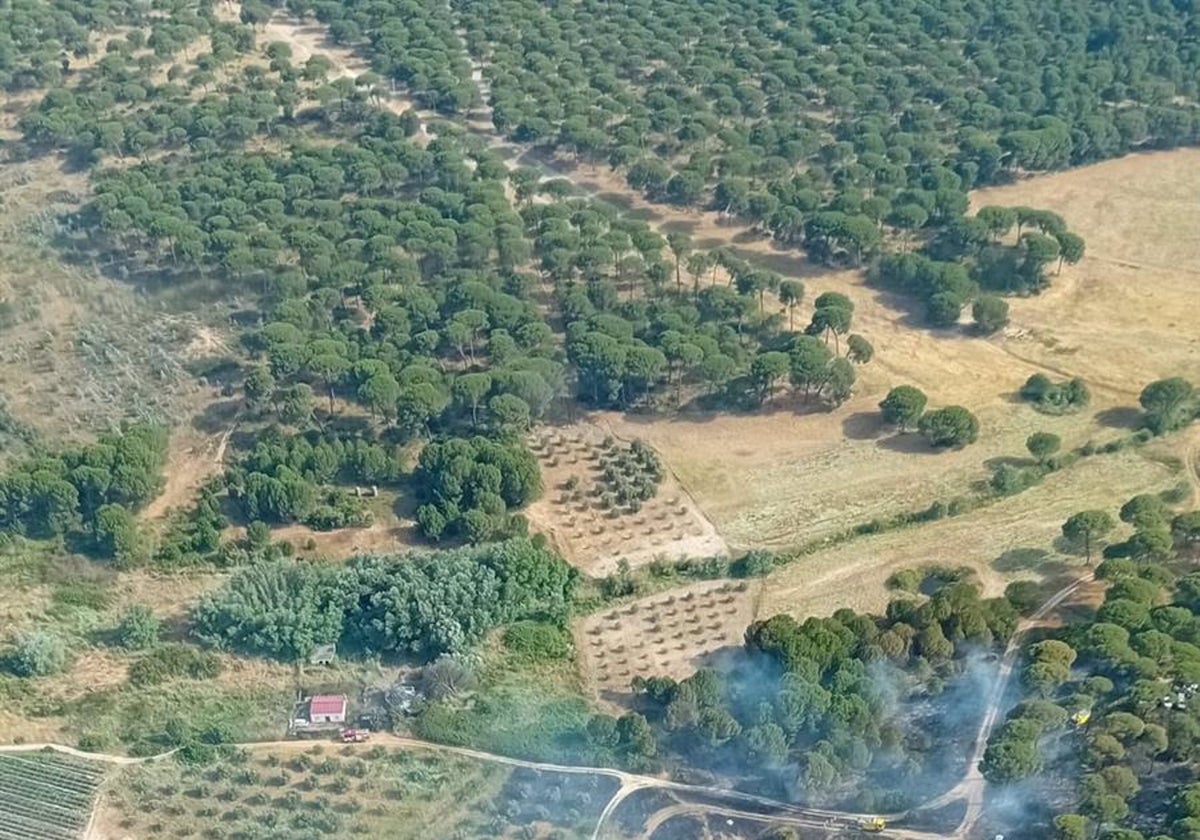 Imagen del incendio, casi extinguido, del pasado sábado en Lucena del Puerto