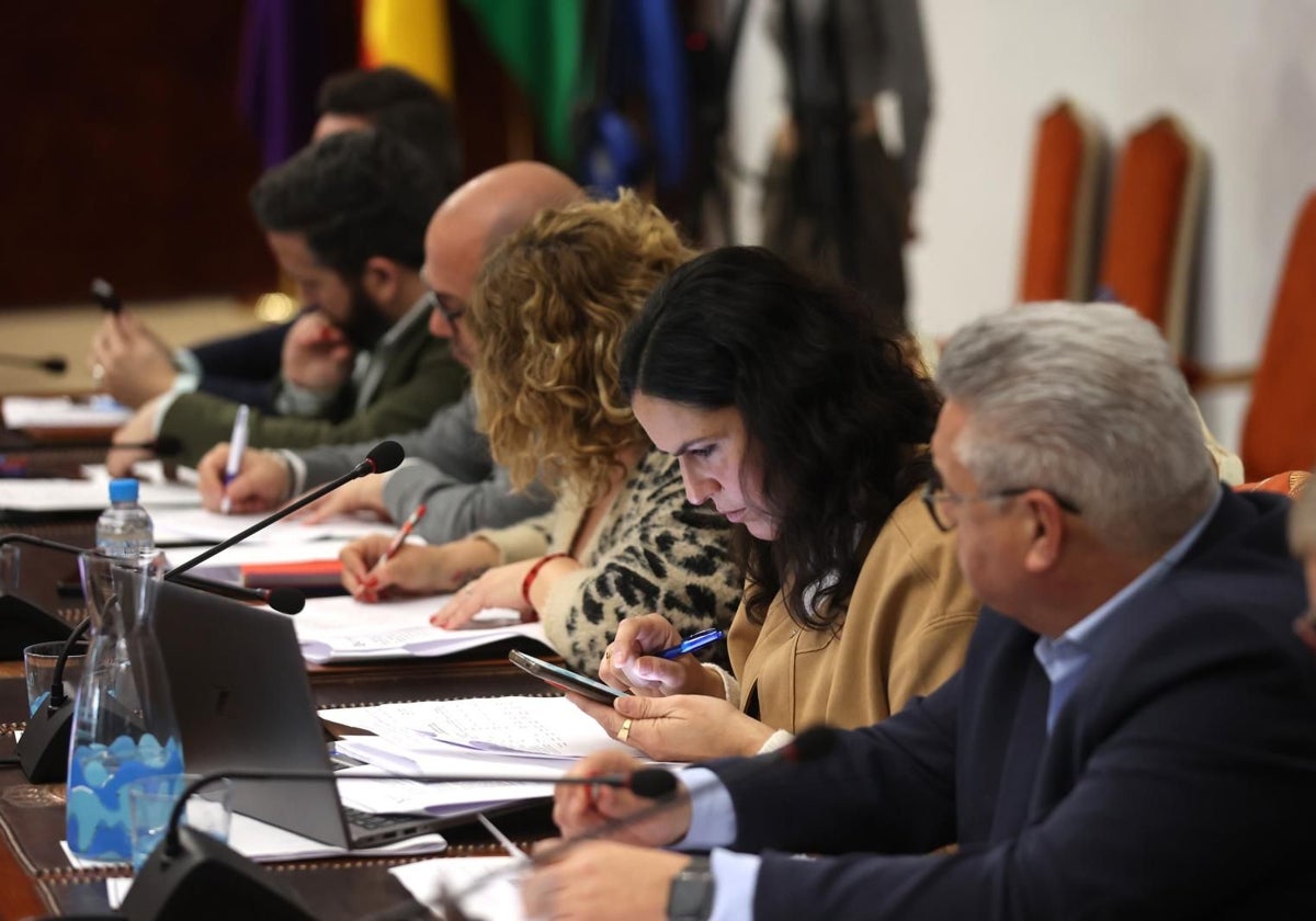 La diputada socialista Desirée Benavides consulta el móvil durante un Pleno de la Diputación