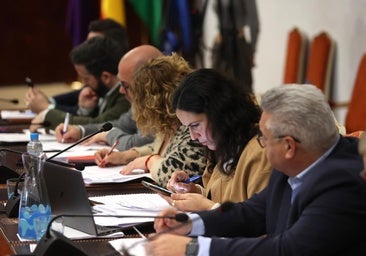 Un juez investiga a una diputada provincial del PSOE en Córdoba por maltratar a su marido