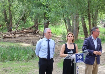 El PP de Madrid exige al Gobierno que actúe de forma urgente para restaurar el cauce del río Henares tras las lluvias