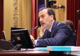 El Parlamento balear activa la próxima semana el mecanismo para debatir la suspensión de Le Senne