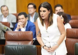 El PSOE-A acusa a la Junta de «cargarse» el control previo de la Intervención y permitir «pisoteo» de la Cámara de Cuentas
