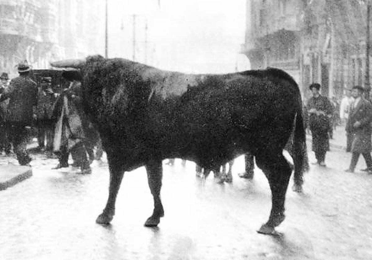 El toro suelto en Gran Vía en 1928