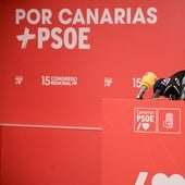 Fierro (PSOE) pide que la justicia «actúe» y se confiesa «orgullosa» de militar en un partido que «no esconde la cabeza»