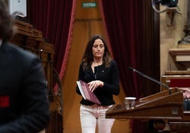 La consejera catalana de Educación avanza que los resultados de las pruebas de competencias «no son los que nos gustarían»