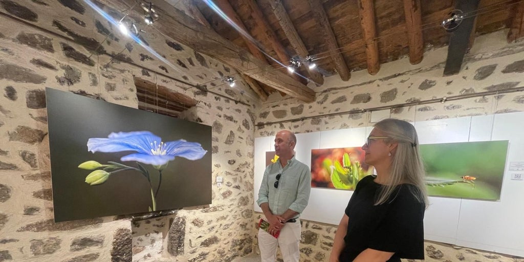  Pequeños paisajes  de Isabel Nieto-Márquez, exposición en Melque hasta el 17 de agosto
