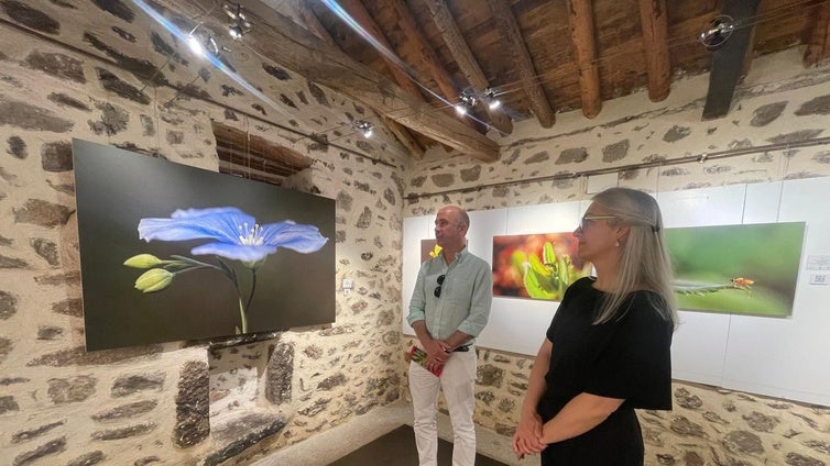 'Pequeños paisajes' de Isabel Nieto-Márquez, exposición en Melque hasta el 17 de agosto