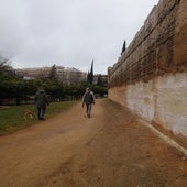 Muralla del Marrubial en Córdoba