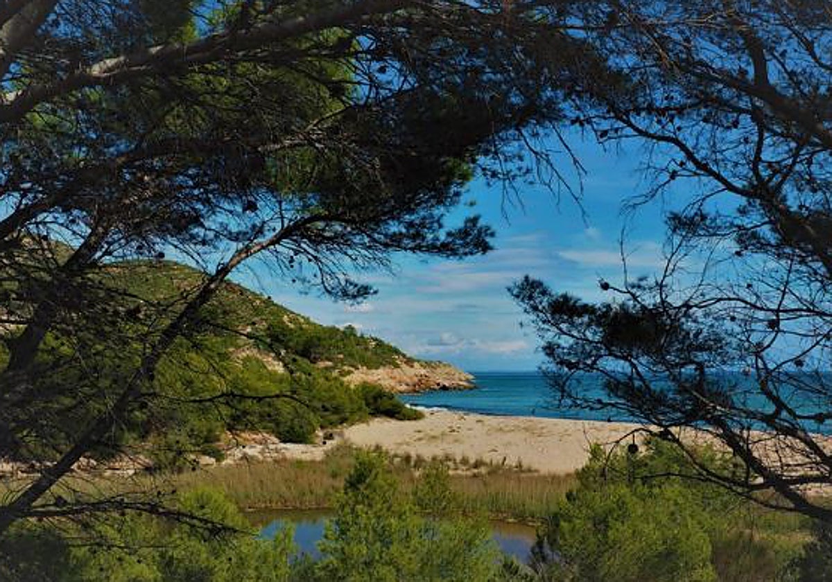 La playa de Cataluña poco popular por estar cerca de una central nuclear que destaca por sus aguas cristalinas y su naturaleza