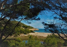 La playa de Cataluña poco popular por estar cerca de una central nuclear que destaca por sus aguas cristalinas y su naturaleza