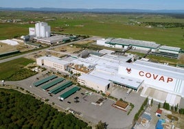 Facturación de las principales cooperativas agrarias de Córdoba: así cerraron 2024