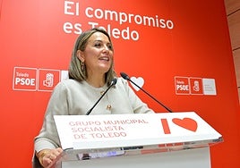 El PSOE alerta de una plaga de mosquitos, avispas y hasta ratas en Toledo