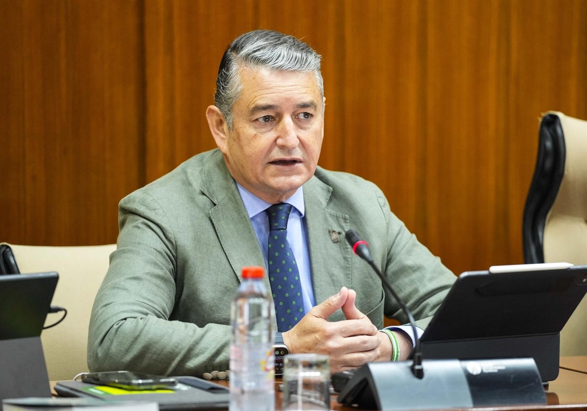 El consejero de la Presidencia, Interior, Diálogo Social y Simplificación Administrativa, Antonio Sanz