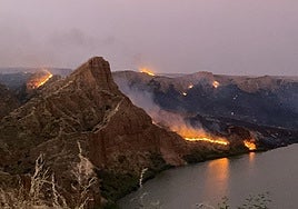 Incendio en Las Barrancas de Burujón: "Si no llega a ser por los agricultores hubiera ocurrido una desgracia en el pueblo"