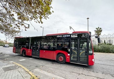 Detenido por masturbarse en un autobús en Valencia y tocar con sus genitales a una pasajera