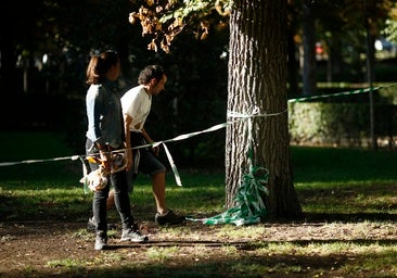 Madrid cierra El Retiro y otros ocho parques por fuertes rachas de viento y altas temperaturas