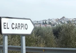 Transportes adjudica por 22,8 millones las obras para rehabilitar el firme de la A-4 entre El Carpio y Córdoba
