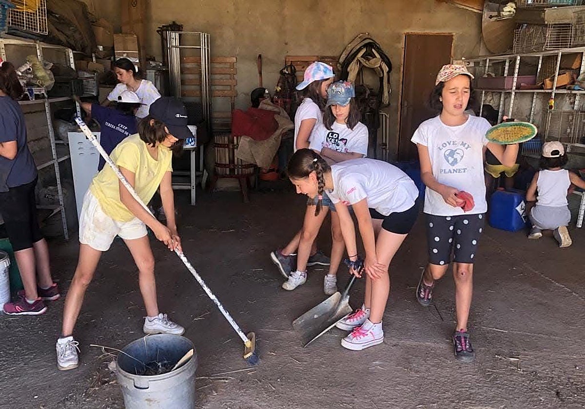Niños limpiando uno de los corrales de la granja escuela, el pasado verano