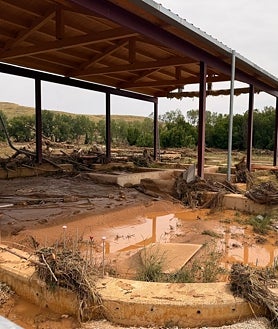 Imagen secundaria 2 - Horas cruciales para el futuro de uno de los yacimientos más importantes de Aragón: limpian de barro, agua y troncos los mosaicos de La Malena