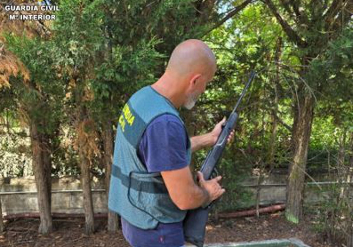 Investigado por disparar con una pistola de aire comprimido a un perro, que murió de una hemorragia interna