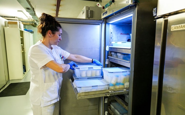 Imagen principal - Una vez recibido el alimento en el hospital, al que llega conservado en frío, se deriva al Centro de Hemoterapia y Hemodonación, encargado de analizar, procesar y almacenar la leche materna para entregar a bebés que lo requieran