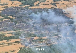 La sobrecarga de una línea eléctrica, posible causa de un nuevo incendio de vegetación Lérida