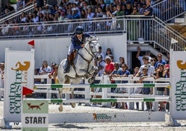 El Centro Ecuestre de Castilla y León acoge el Campeonato de España de Ponis
