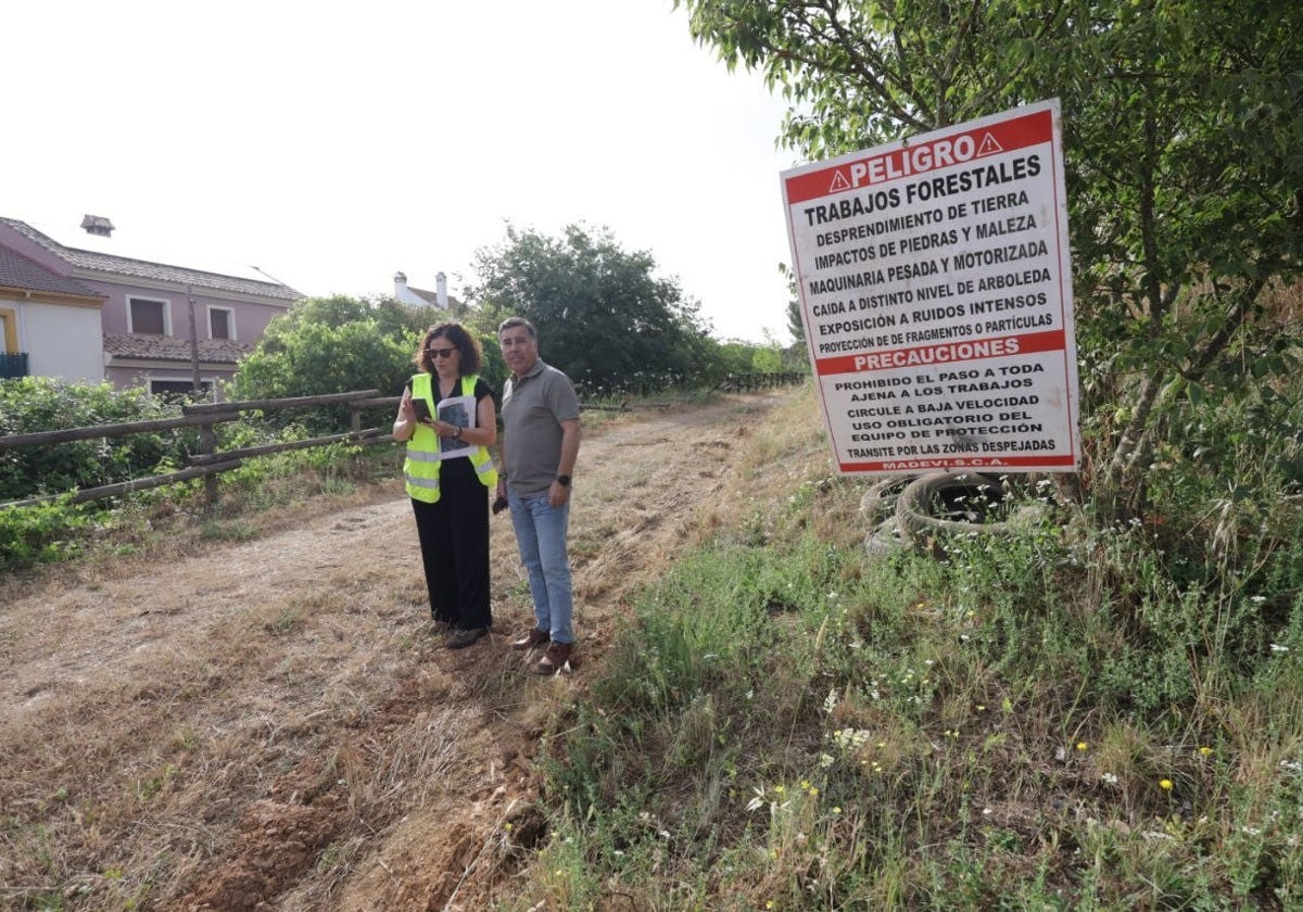 Zona en la que se acometerá la retirada de masa forestal