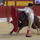 Horario de la primera corrida de toros en À Punt desde las Hogueras de Alicante