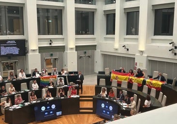 'Guerra' de banderas en el Pleno: el PSOE cuelga en su bancada la arcoíris y Vox responde con la de España