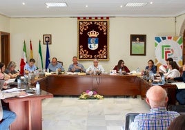 Cortes de luz en Fuente Palmera: el Ayuntamiento, la Junta y las empresas eléctricas buscan las causas y un plan de actuación