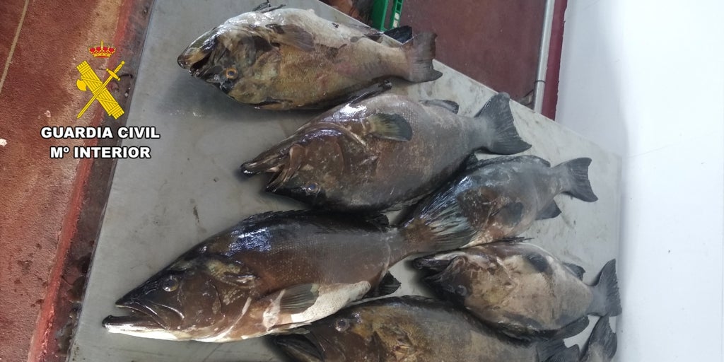 Rastrean hasta Cartagena un barco con 300 kilos de pesca furtiva por daños en la reserva de la isla de Tabarca en Alicante